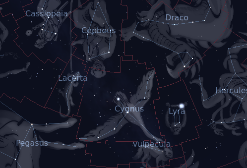 Cygnus